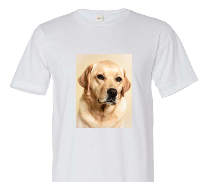 Custom Adult 100% Organic Cotton White T-Shirt