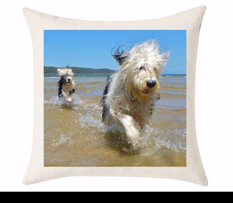 Custom Cushion Cover 50cm x 50 cm Off White