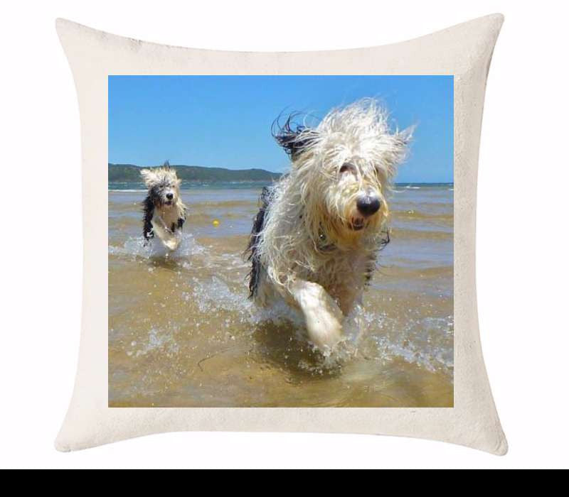 Custom Cushion Cover 50cm x 50 cm Off White