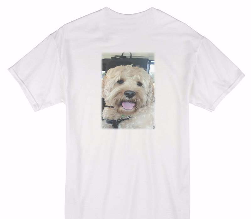 Custom Gildan 100% Cotton White T-Shirt