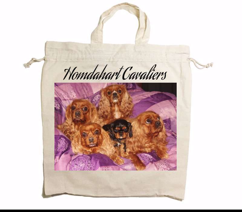 Custom Drawstring Tote Bag Cotton Calico