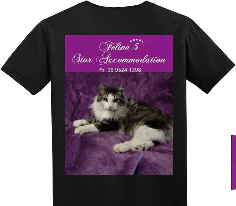 Custom Adult Soft Style 100% Cotton Black T-Shirt