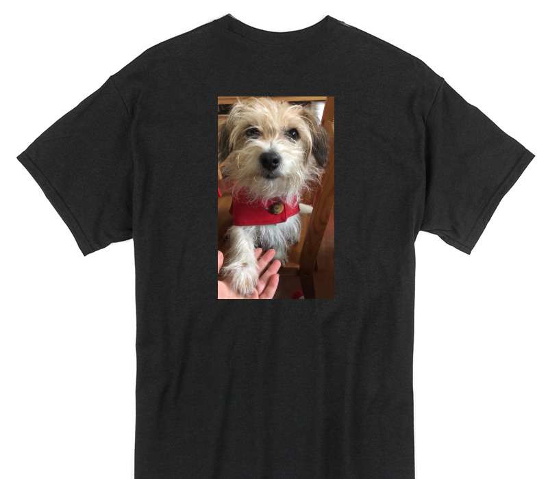 Custom Gildan 100% Cotton Black T-Shirt