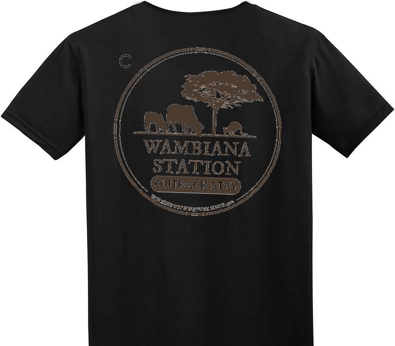 Custom Adult Soft Style 100% Cotton Black T-Shirt