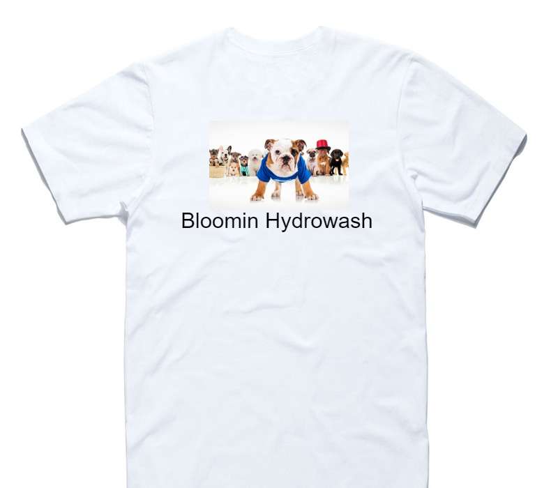 Custom AS Colour 100% Cotton White T-Shirt