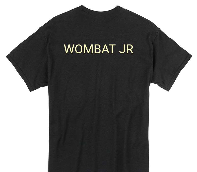 Custom Gildan 100% Cotton Black T-Shirt