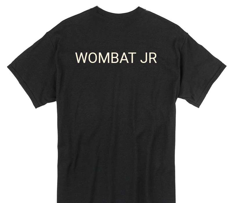Custom Gildan 100% Cotton Black T-Shirt