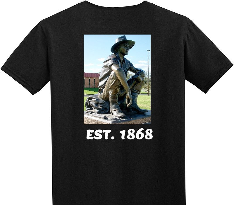 Custom Adult Soft Style 100% Cotton Black T-Shirt