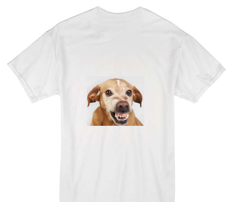 Custom Gildan 100% Cotton White T-Shirt