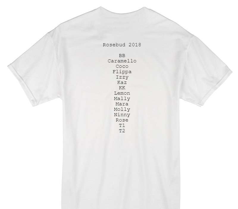 Custom Gildan 100% Cotton White T-Shirt