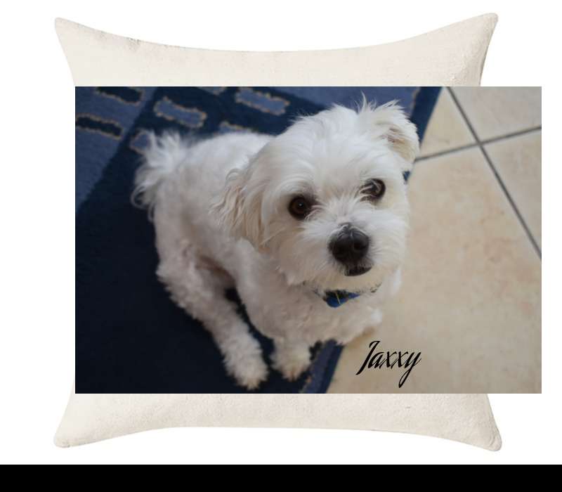 Custom Cushion Cover 50cm x 50 cm Off White