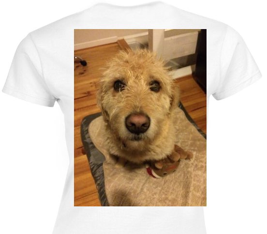 Custom Womens Soft Style 100% Cotton White T-Shirt