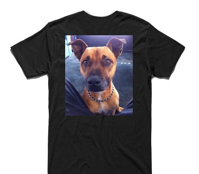 Custom AS Colour 100% Cotton Black T-Shirt