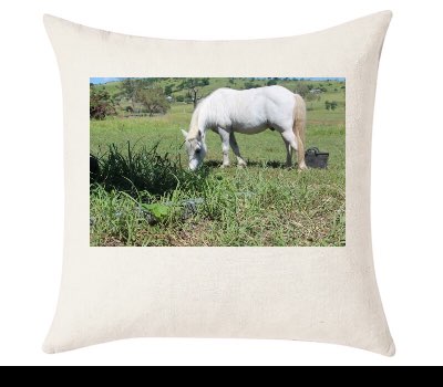 Custom Cushion Cover 50cm x 50 cm Off White