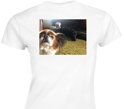 Custom Womens Soft Style 100% Cotton White T-Shirt