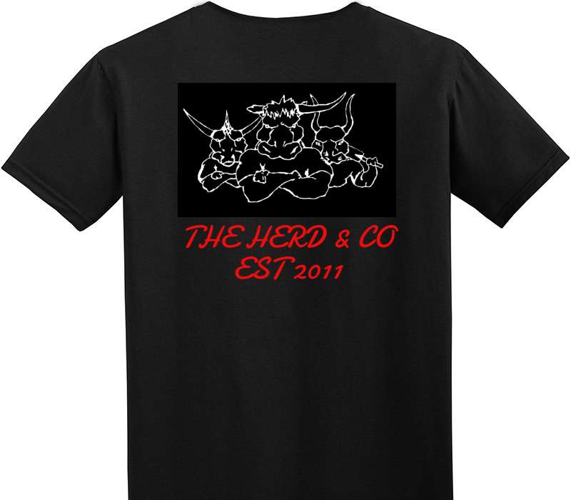 Custom Adult Soft Style 100% Cotton Black T-Shirt