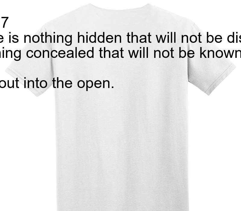 Custom Adult Soft Style 100% Cotton White T-Shirt