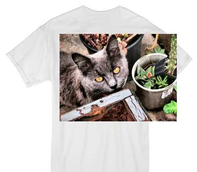 Custom Gildan 100% Cotton White T-Shirt