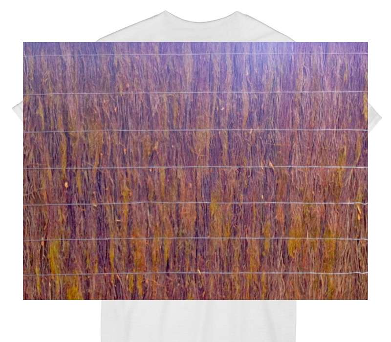 Custom Gildan 100% Cotton White T-Shirt