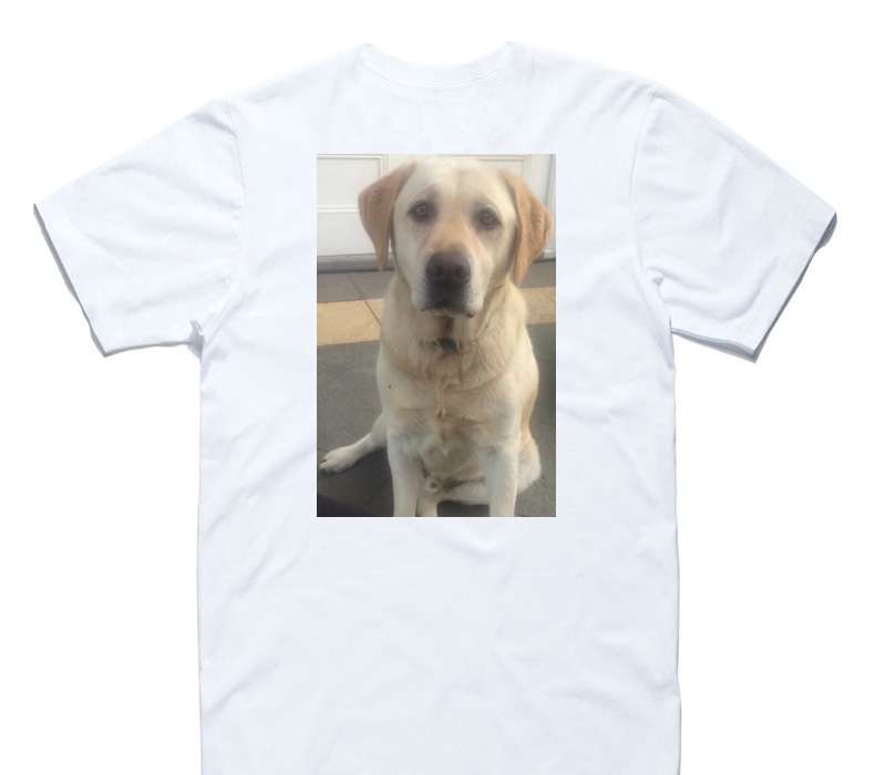 Custom AS Colour 100% Cotton White T-Shirt