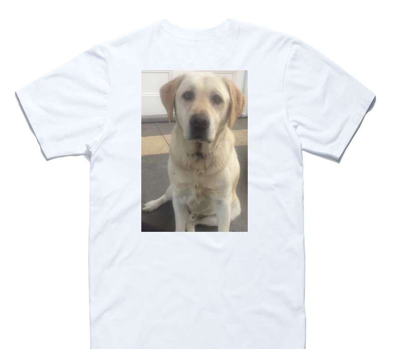 Custom AS Colour 100% Cotton White T-Shirt