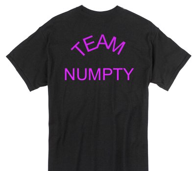 Custom Gildan 100% Cotton Black T-Shirt