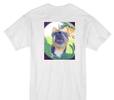 Custom Gildan 100% Cotton White T-Shirt