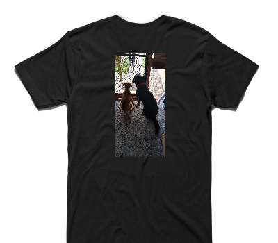 Custom AS Colour 100% Cotton Black T-Shirt