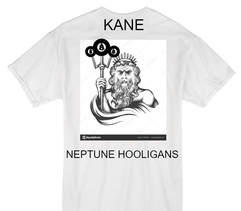 Custom Gildan 100% Cotton White T-Shirt