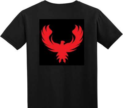 Custom Adult Soft Style 100% Cotton Black T-Shirt