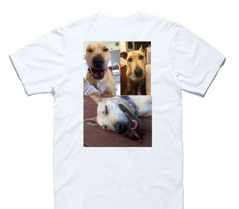 Custom AS Colour 100% Cotton White T-Shirt