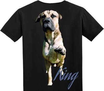 Custom Adult Soft Style 100% Cotton Black T-Shirt