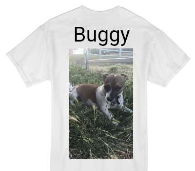 Custom Gildan 100% Cotton White T-Shirt