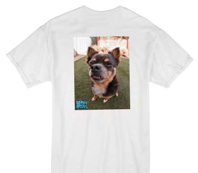 Custom Gildan 100% Cotton White T-Shirt
