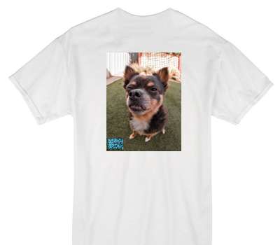 Custom Gildan 100% Cotton White T-Shirt