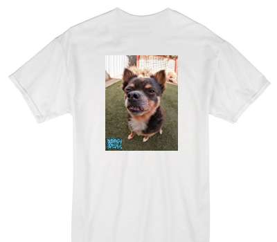 Custom Gildan 100% Cotton White T-Shirt