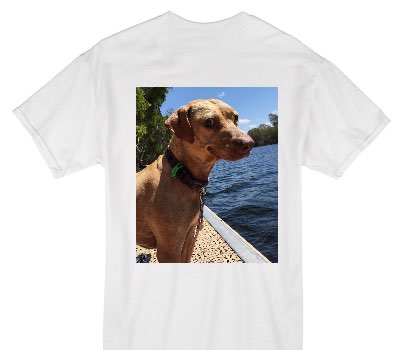 Custom Gildan 100% Cotton White T-Shirt