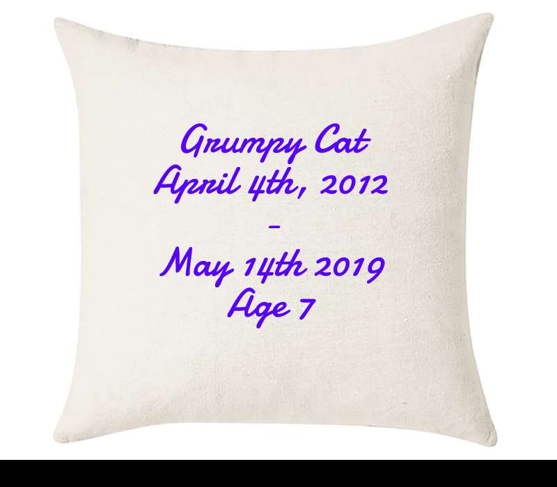 Custom Cushion Cover 50cm x 50 cm Off White