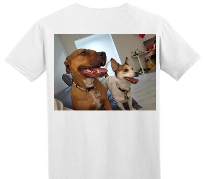 Custom Adult Soft Style 100% Cotton White T-Shirt