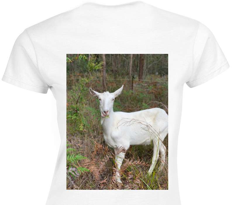 Custom Womens Soft Style 100% Cotton White T-Shirt