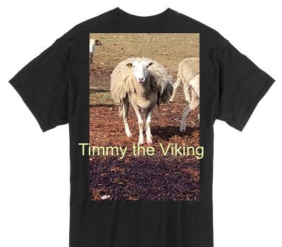 Custom Gildan 100% Cotton Black T-Shirt
