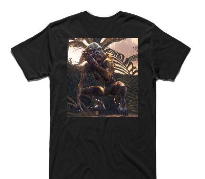 Custom AS Colour 100% Cotton Black T-Shirt