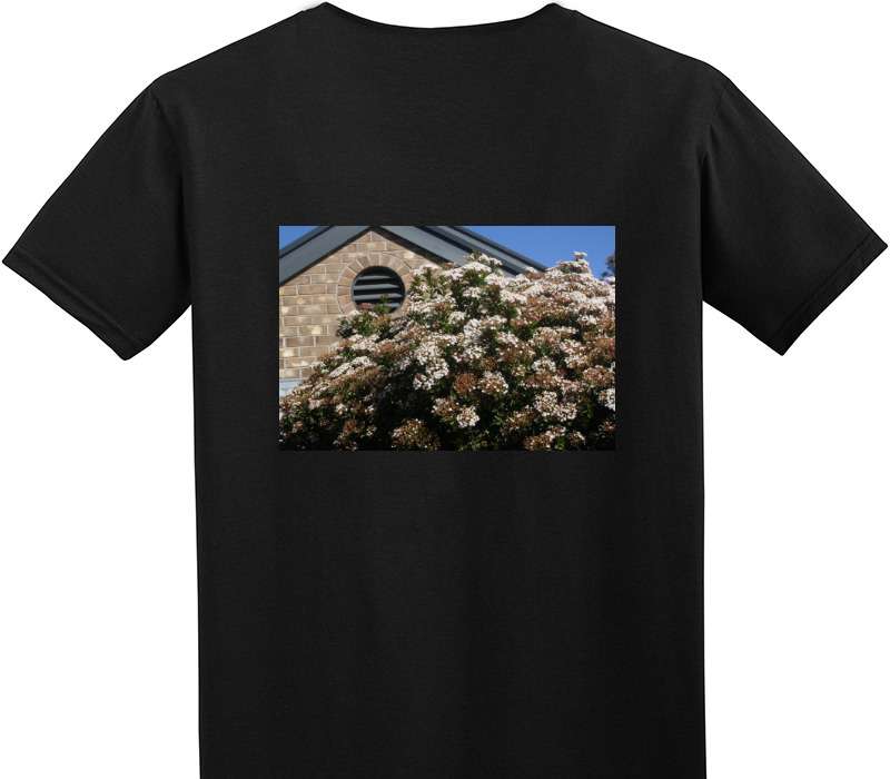 Custom Adult Soft Style 100% Cotton Black T-Shirt