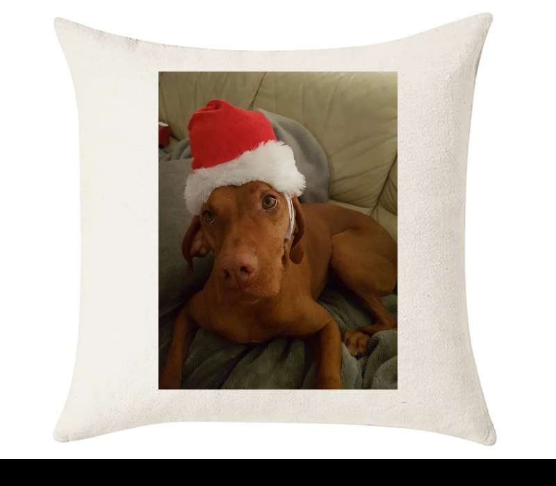 Custom Cushion Cover 50cm x 50 cm Off White