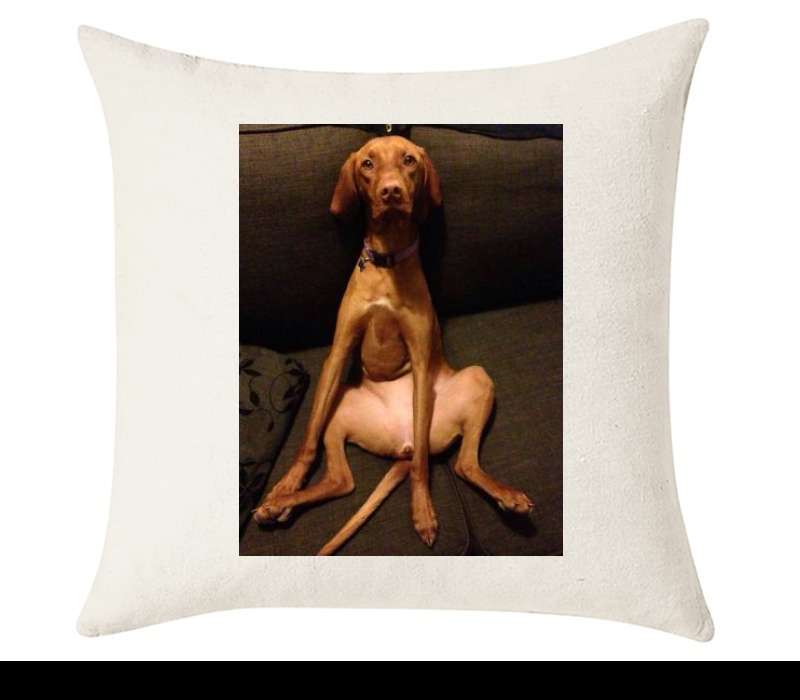 Custom Cushion Cover 50cm x 50 cm Off White