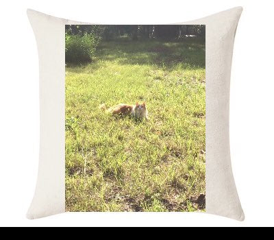 Custom Cushion Cover 50cm x 50 cm Off White