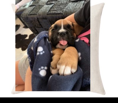 Custom Cushion Cover 50cm x 50 cm Off White