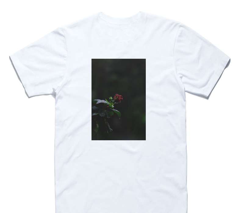 Custom AS Colour 100% Cotton White T-Shirt