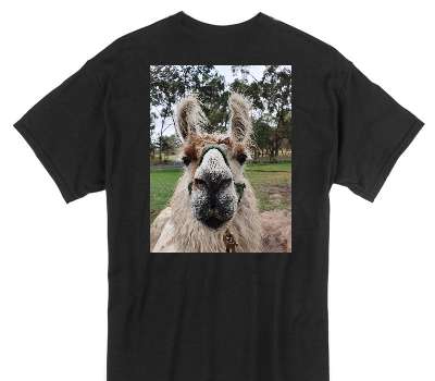 Custom Gildan 100% Cotton Black T-Shirt