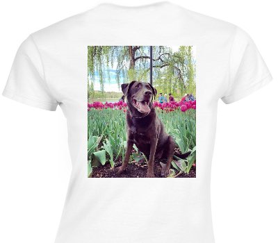 Custom Womens Soft Style 100% Cotton White T-Shirt